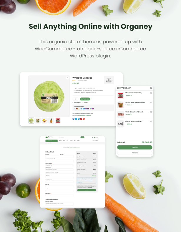 Organey - WooCommerce WordPress Theme für Bio-Lebensmittel