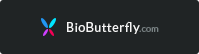 Ruby - Portfolio und Blog WordPress Theme - 3