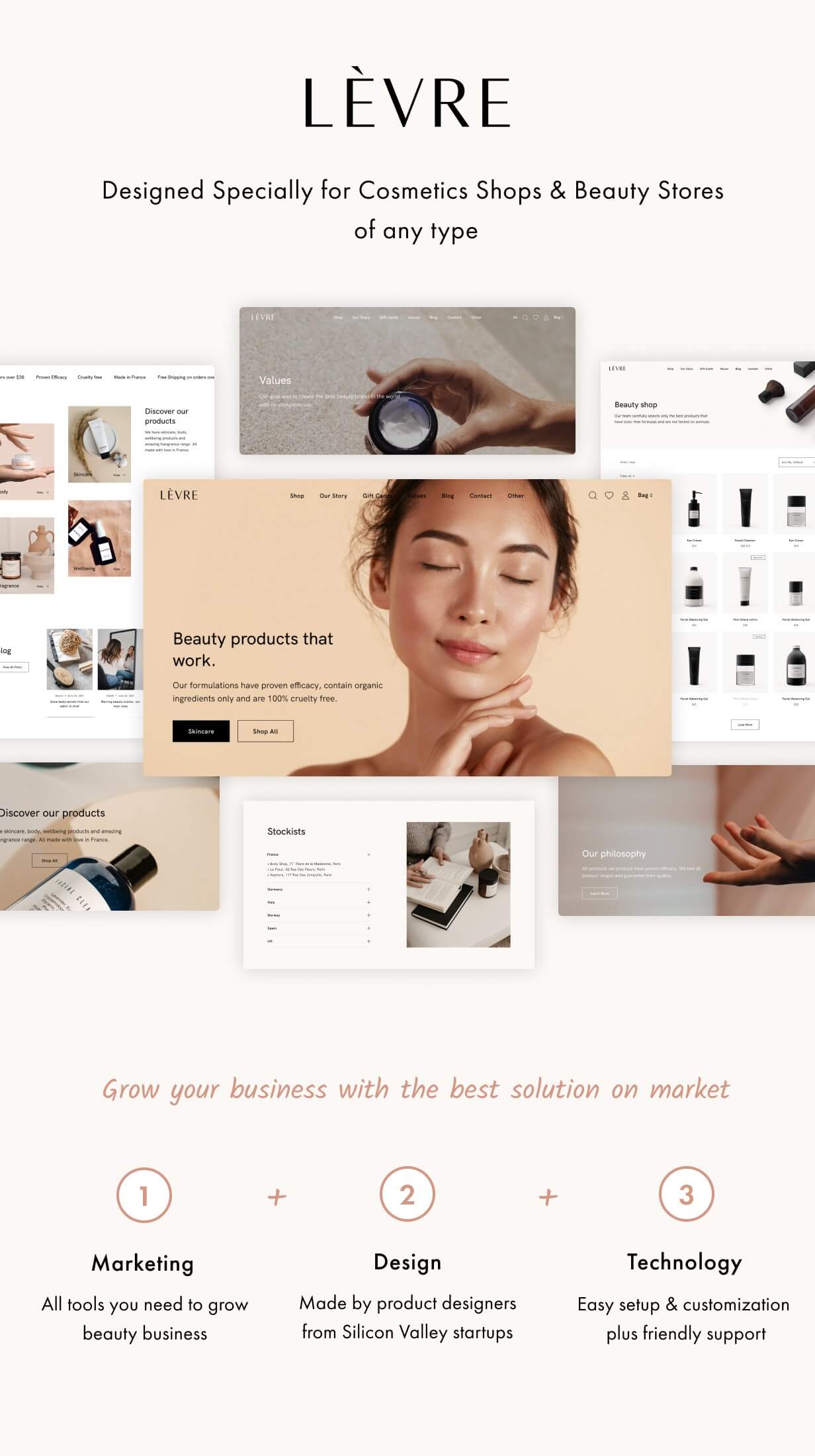 Levre WordPress Theme Präsentationsbild