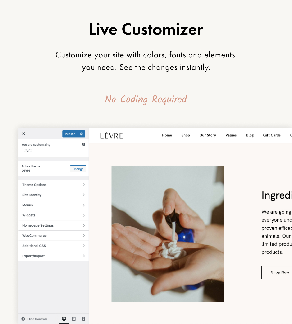 Levre WordPress Theme Präsentationsbild
