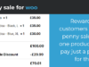 WooCommerce Penny Sale