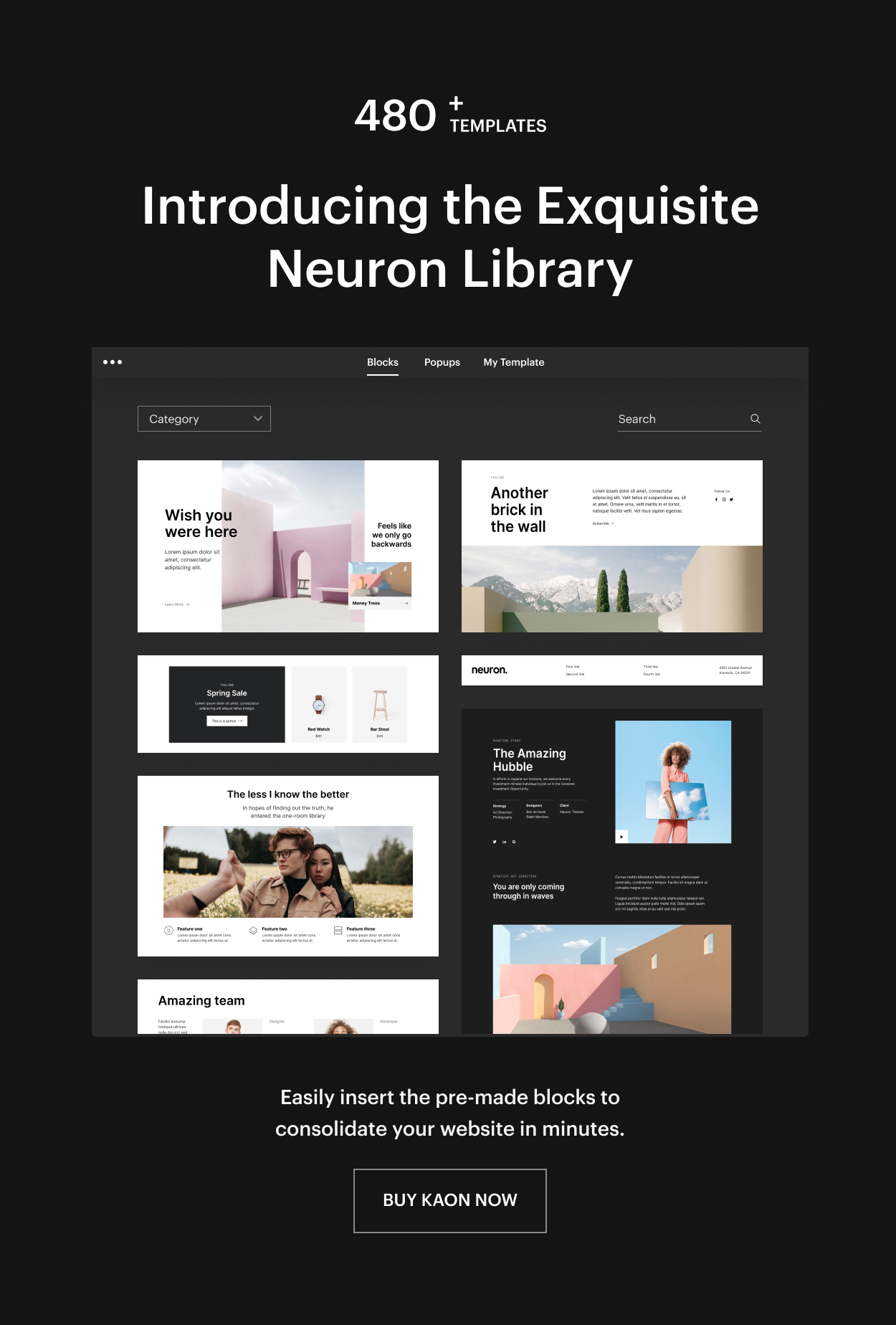 Kaon WordPress Theme - Neuron Library