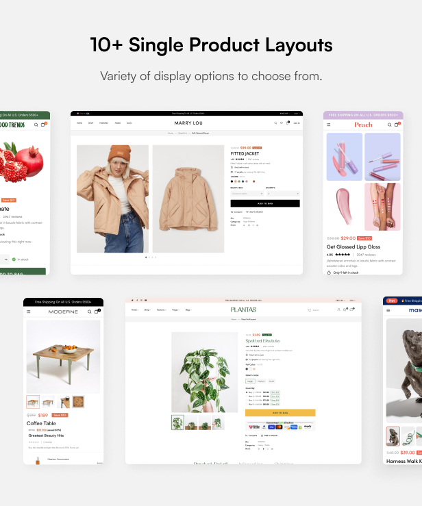 Ecomm - Das leistungsstarke WooCommerce-Theme - 15