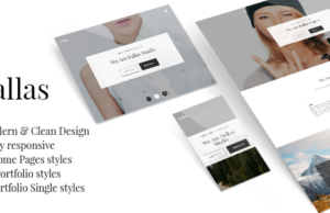 Dallas – Minimales Portfolio & Geschäftsthema