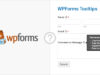 WPForms-Kurzinfos
