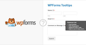 WPForms-Kurzinfos