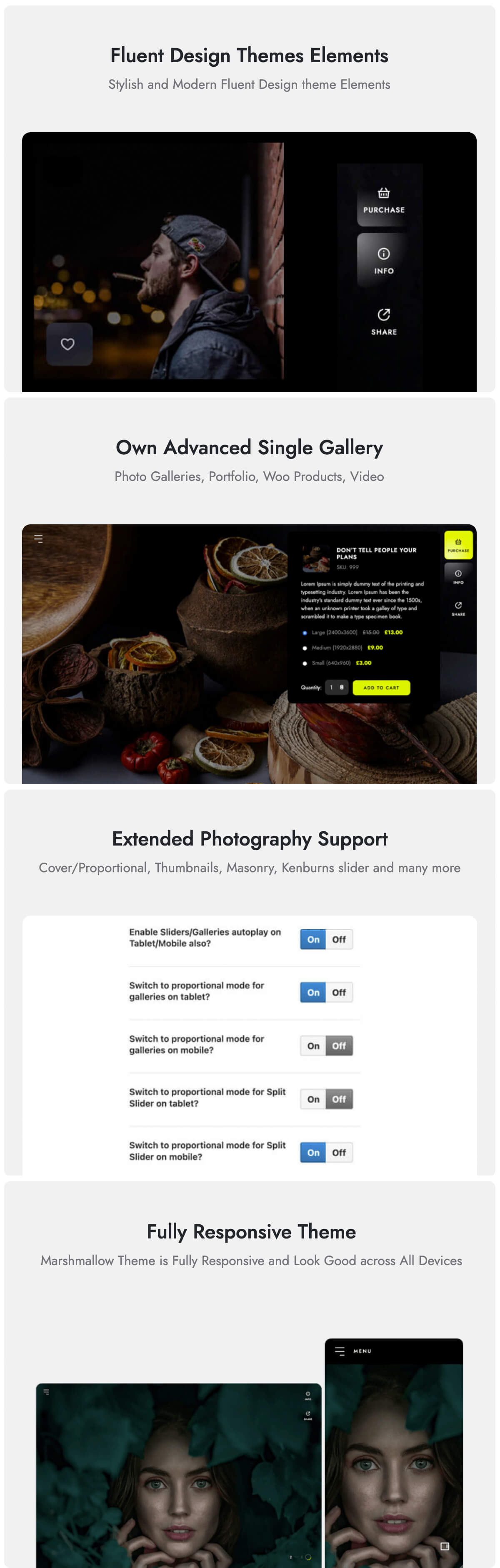 Marshmallow - Fotograf WordPress Theme - 3