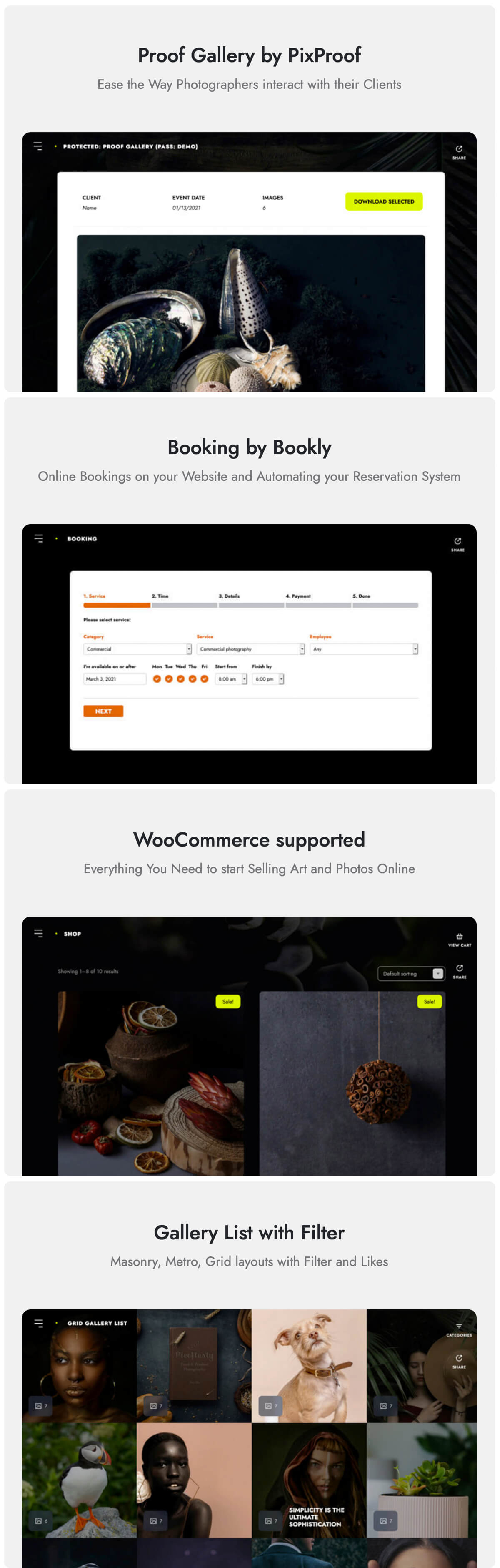 Marshmallow - Fotograf WordPress Theme - 4