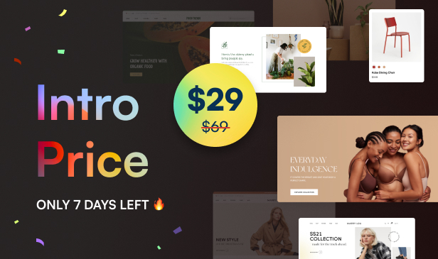 Ecomm - Das leistungsstarke WooCommerce-Theme - 1