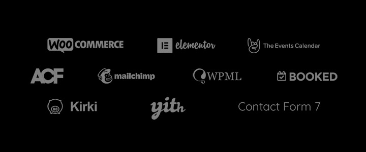 Exquil – E-Commerce-Theme für Schönheitssalons - 13
