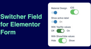 Switcher-Feld für Elementor-Formular