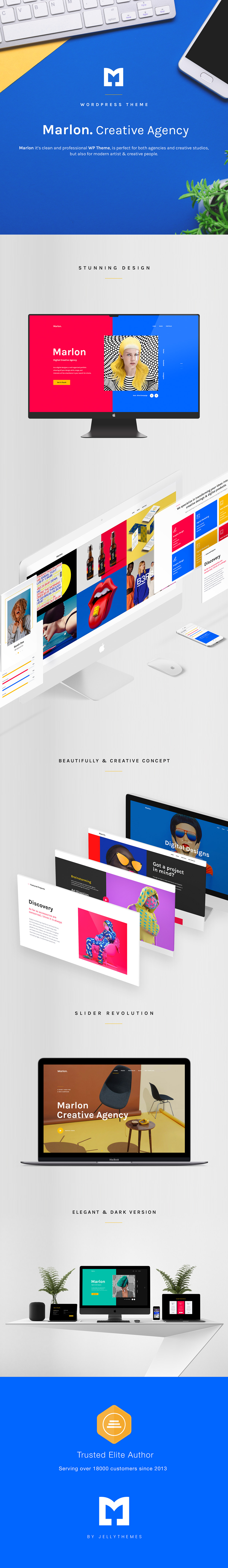 Marlon - Agentur & Portfolio WordPress Theme - 1