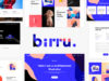 Birru - Einfaches Portfolio-Elementor-Vorlagen-Kit