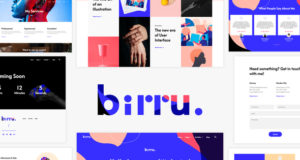 Birru – Einfaches Portfolio-Elementor-Vorlagen-Kit