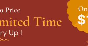 Cetara – Wunderschönes WordPress-Template für Autoren