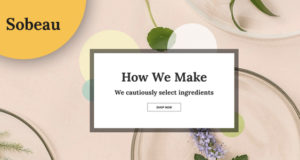 Sobeau – Elementor WooCommerce-Thema