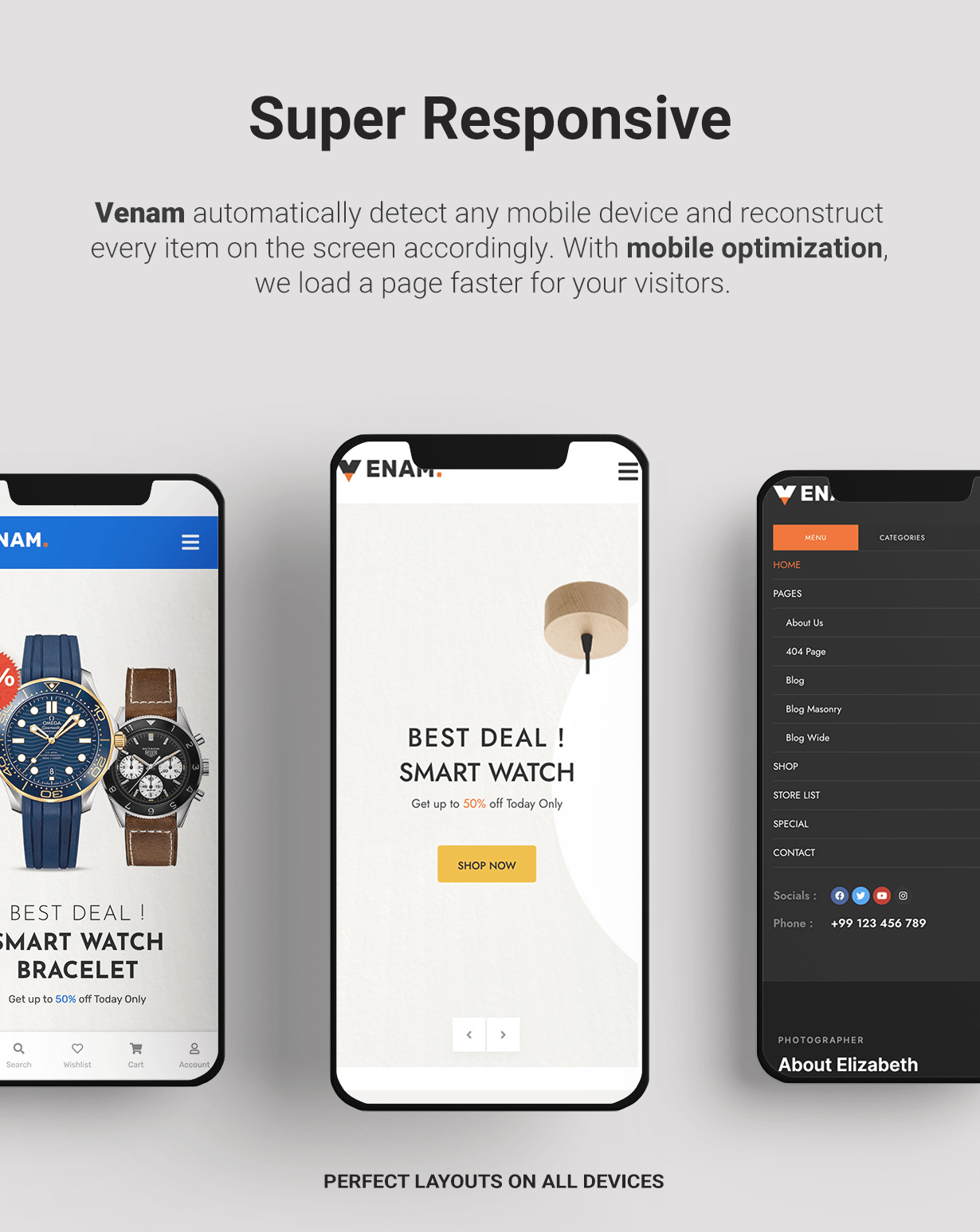 WordPress Responsive Food Themes from Ninetheme
