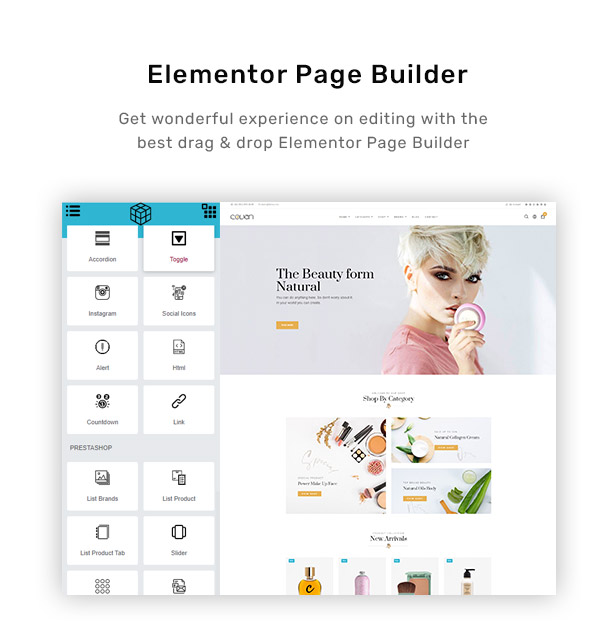 Integrierte Website mit RBthemedream Elementor Page Builder