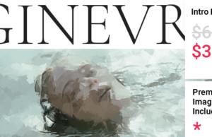 Ginevra – Künstlerportfolio-Thema