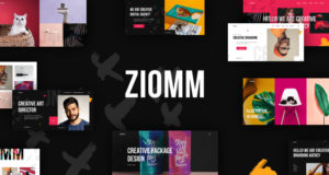 Ziomm – WordPress-Thema für Kreativagentur und Portfolio