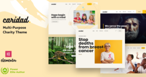 Caridad – Wohltätigkeitsorganisation WordPress