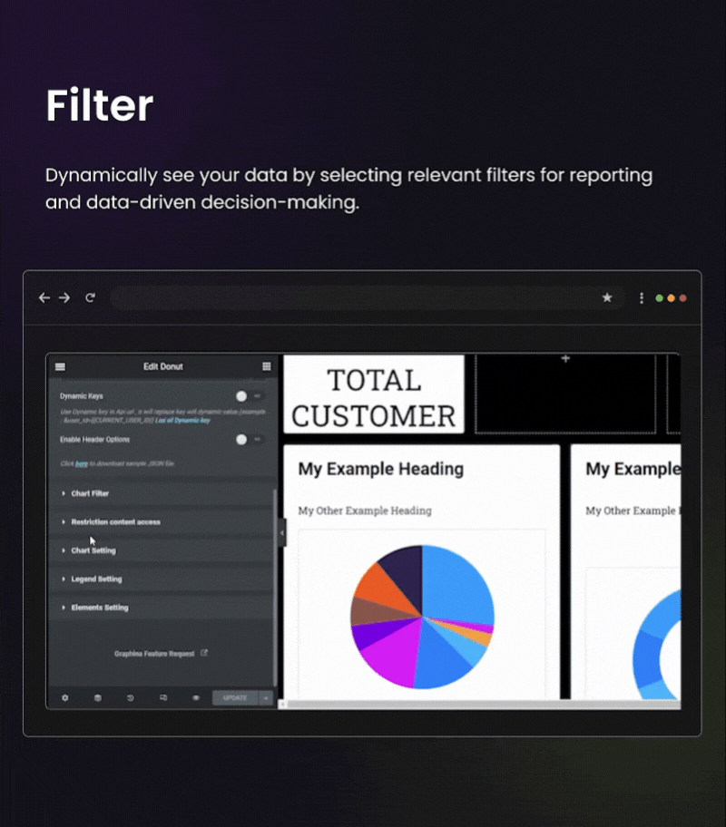 Graphina Pro - Dynamische Diagramme, Grafiken und Datentabellen von Elementor - 37