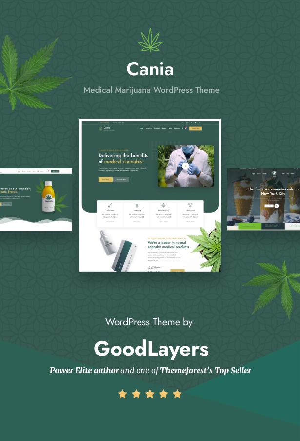 Cania - Medizinisches WordPress für Cannabis und Marihuana - 1