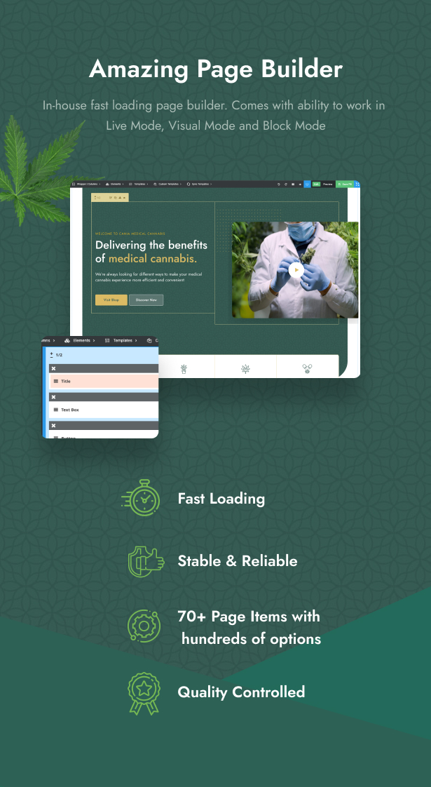 Cania - Medizinisches WordPress für Cannabis und Marihuana - 8