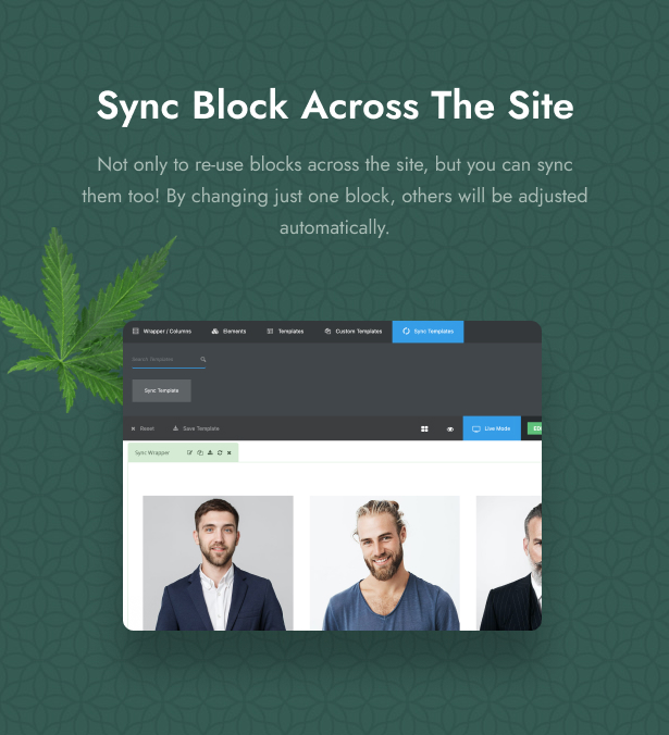 Cania – Medizinisches WordPress für Cannabis und Marihuana – 9