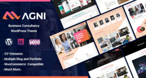 Agni – Unternehmensberatung