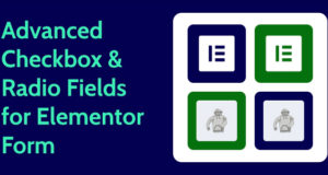 Erweiterte Kontrollkästchen und Optionsfelder für Elementor-Formular
