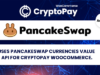 PancakeSwap-Währungswert-API für CryptoPay WooCommerce