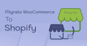 W2S – WooCommerce zu Shopify migrieren