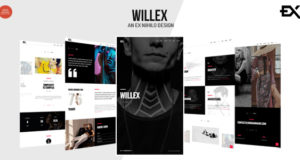 Willex – Fotografie-Portfolio WordPress-Layout