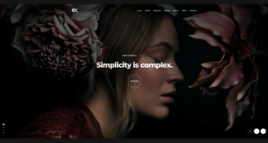 Brandex – One-Page-Portfolio-WordPress-Thema