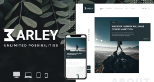 Gerste – E-Commerce-WordPress-Magazin-Thema