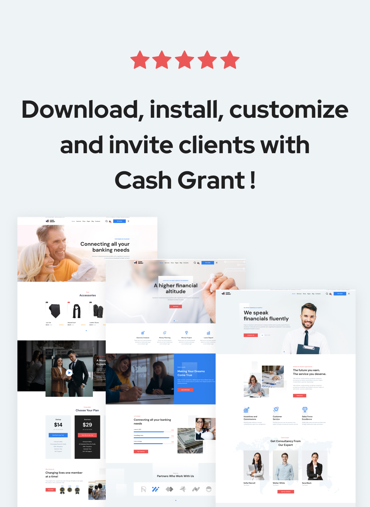 Cash Grant – Kredite und Finanzdienstleistungen WordPress Theme für kleine Unternehmen