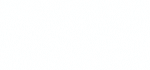 Boomrom – WordPress-Template für Kosmetik- und Schönheitsshops