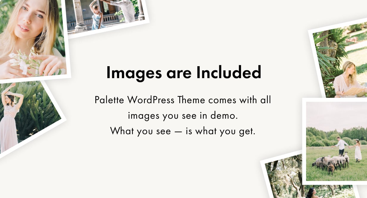 Palette WordPress Theme Präsentationsbild