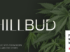 ChillBud - Medizinisches Marihuana- und Cannabis-Thema