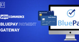 WooCommerce BluePay-Zahlungsgateway