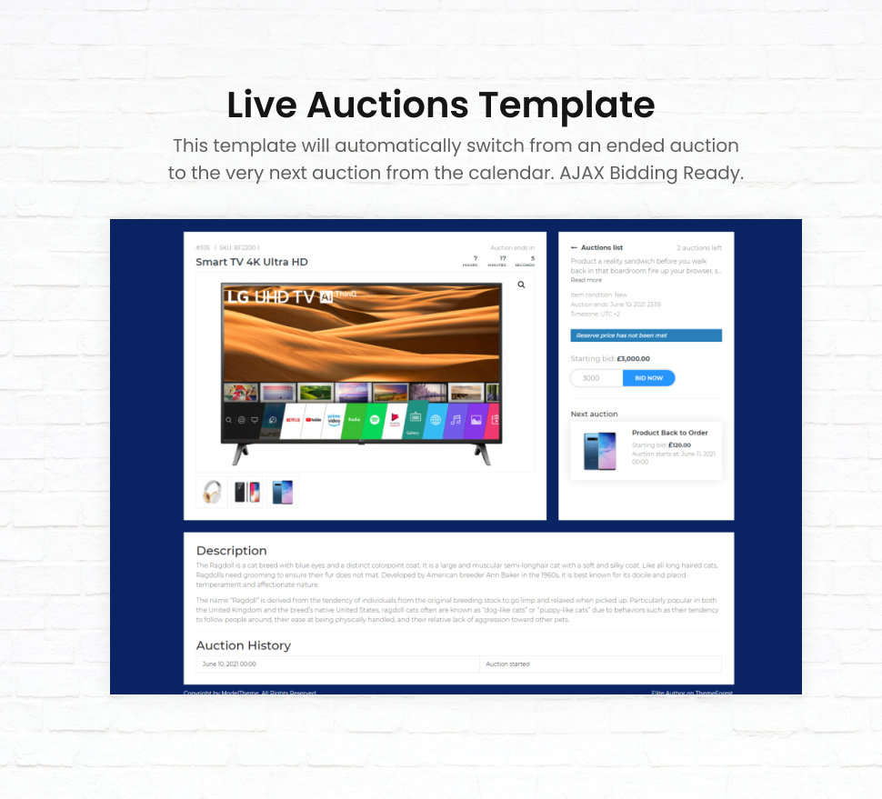 Auktionslose für das iBid-Thema - 7