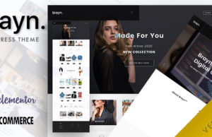 Brayn – Creative Portfolio Element oder WordPress-Vorlage