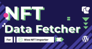 WooCommerce NFT Importer – Datenabruf über Cronjob (Add-on)