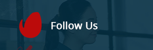 Zahlungsfähigkeit – WordPress-Theme 