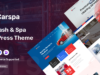 Carspa – WordPress-Layout für Autowäsche und -reinigung