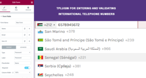 Elementor Forms – Feld „Internationale Telefonmaskierung“.