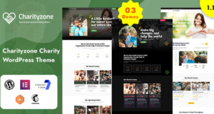 Wohltätigkeitszone | Spende WordPress-Layout