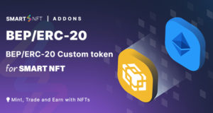 Smart NFT BEP/ERC-20 Benutzerdefinierter Token-Standard (Add-ons)