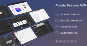 WooCommerce Easy Point Systempakete DZS